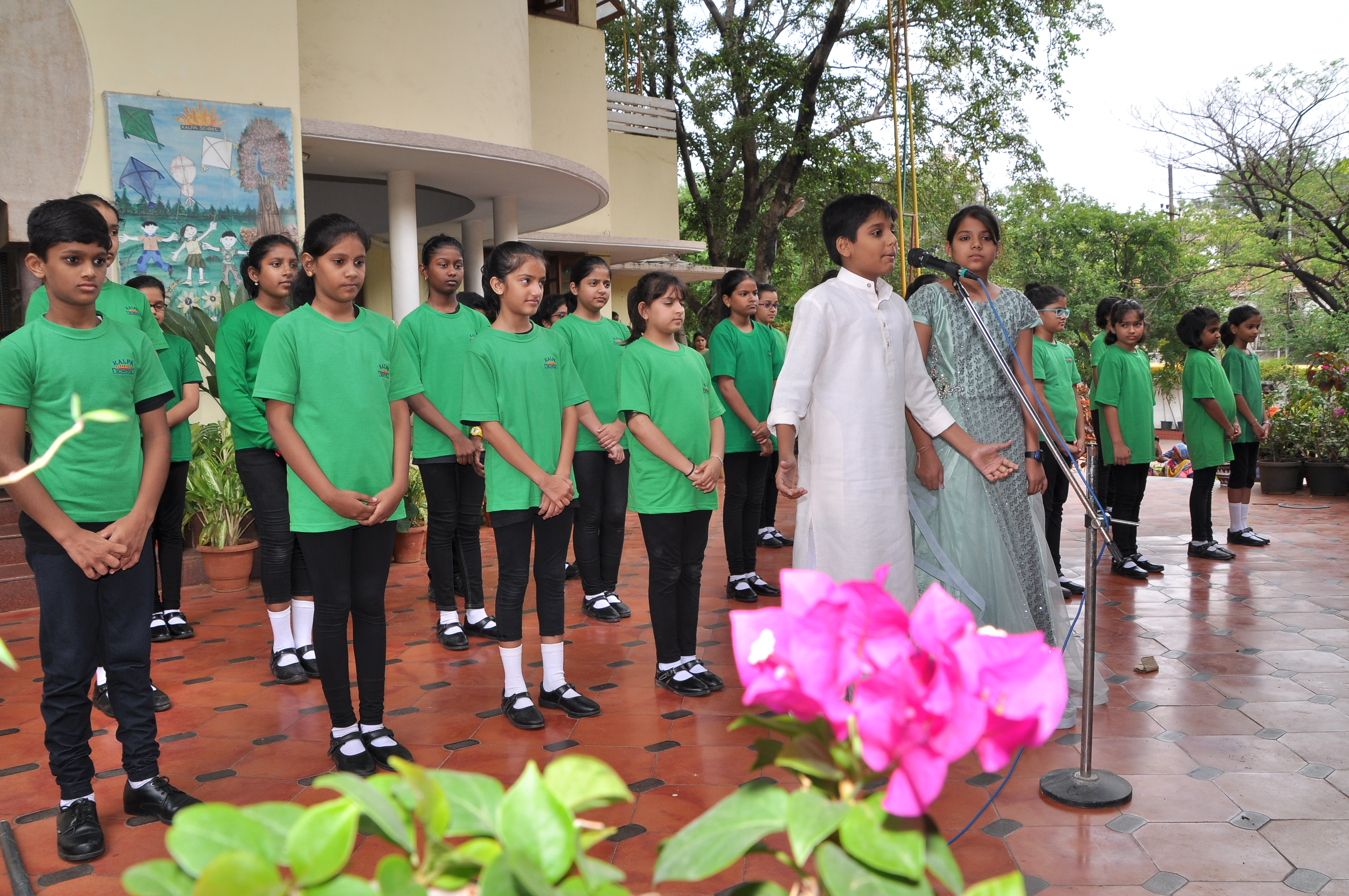 Van mahotsav essay in english pdf picture